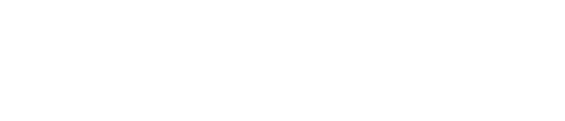 VIVISA